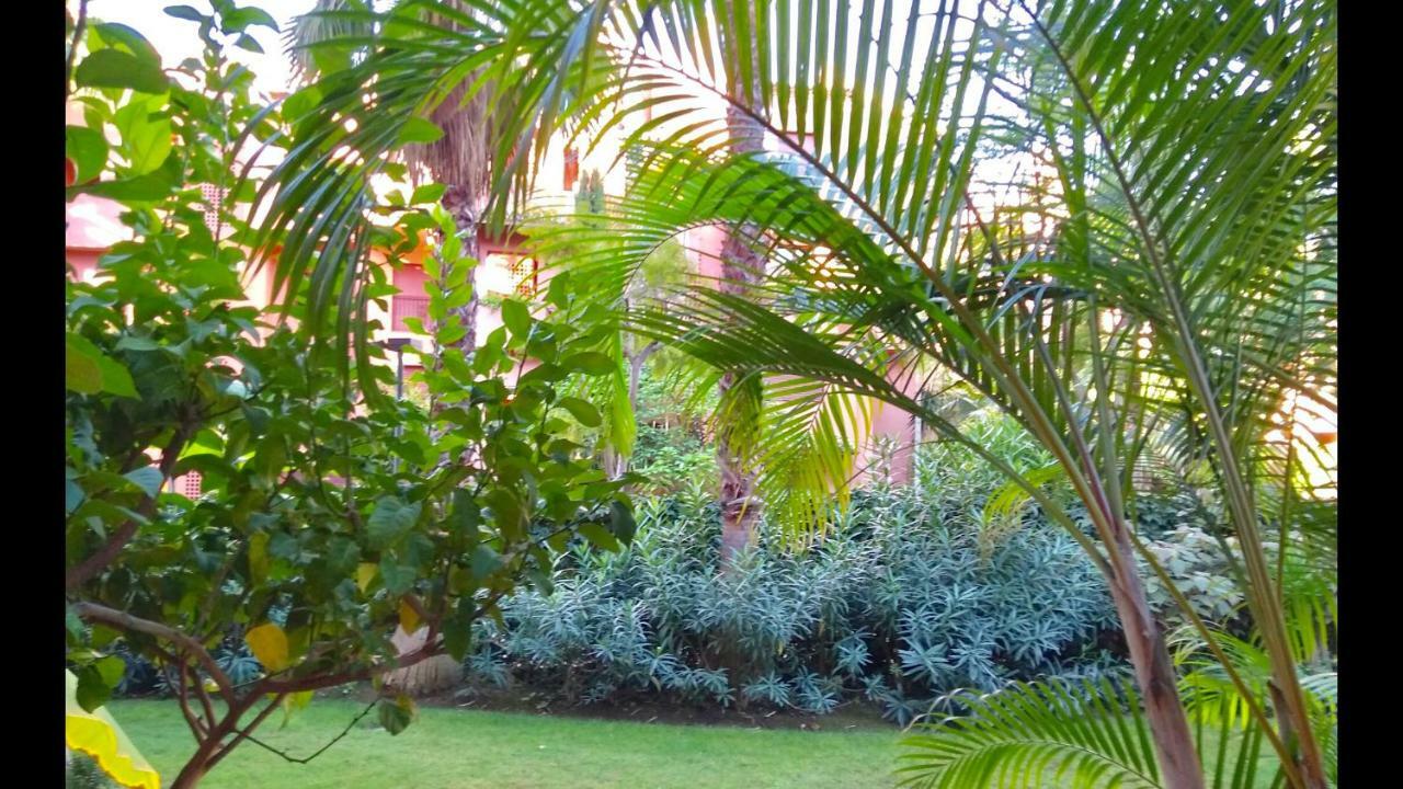 Marbella Alicate Beachfront - Luxury Apartment-2 المظهر الخارجي الصورة